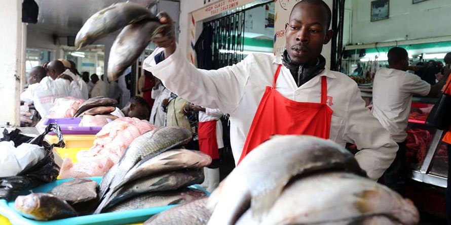 Fresh Kenyan Fish